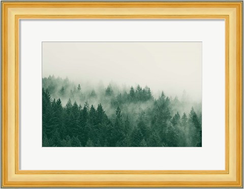 Framed Emerald Forest No. 1 Print