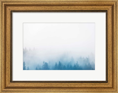 Framed Enchanted Forest No. 2 Print