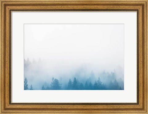 Framed Enchanted Forest No. 2 Print