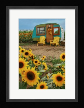 Framed Vintage Camper and Sunflowers 1 Print
