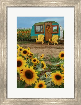 Framed Vintage Camper and Sunflowers 1 Print