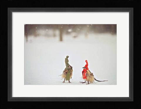Framed Weathered Feathered Friends Print