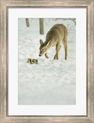 Framed Winter Squirrel and Deer Print