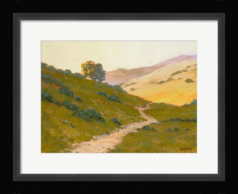 Framed Opalescent Hills Print