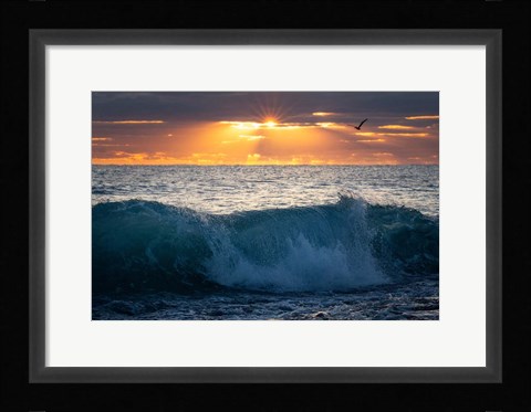 Framed Pelican at Dawn Print