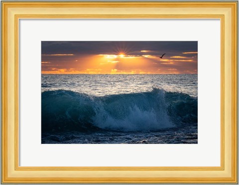 Framed Pelican at Dawn Print