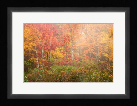 Framed Soft Pallet Print