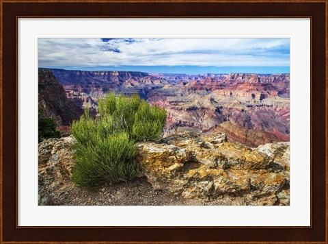 Framed Grand Canyon Medicine Print
