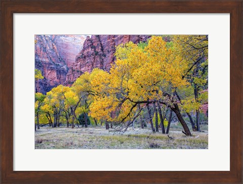 Framed Autumn at the Grotto Print