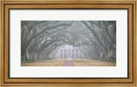 Framed Oak Alley Plantation Print