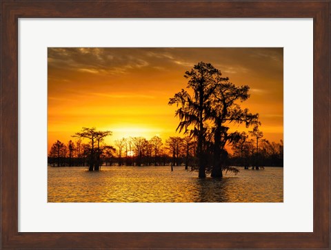 Framed Louisiana Gold Print
