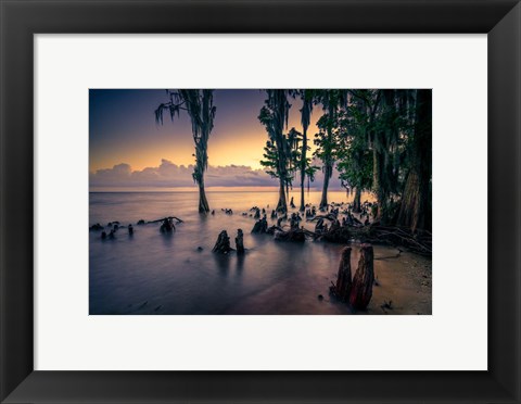 Framed Shore of Lake Pontchartrain Print