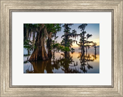 Framed Dawn in the Swamp Print