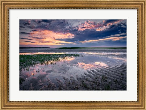 Framed Paines Creek Reflections II Print