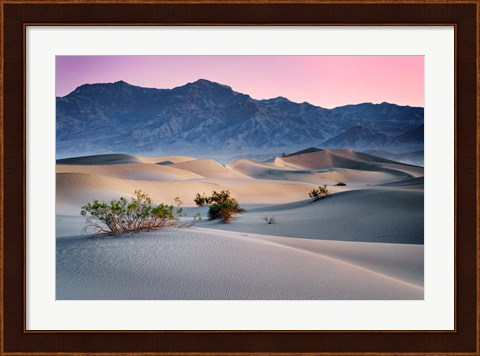 Framed Dawn in the Dunes Print