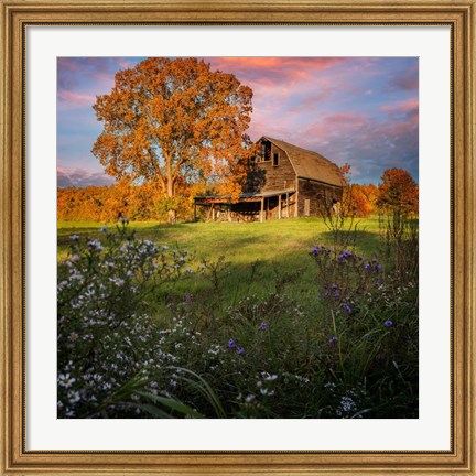 Framed Autumn Sunset by the Barn Print