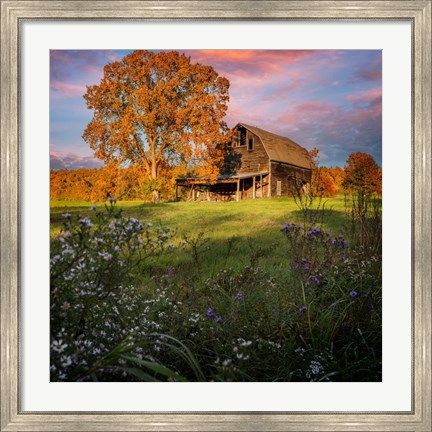 Framed Autumn Sunset by the Barn Print