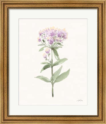 Framed Flowers of the Wild II Pastel Print