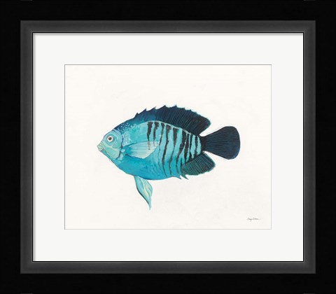Framed Ocean Life I Print