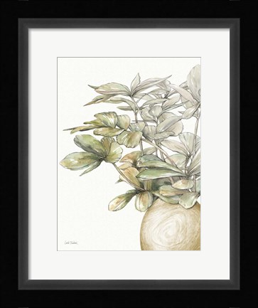 Framed Potted Leaves II Print