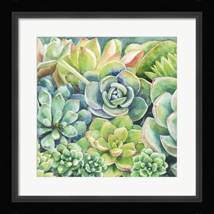 Framed Succulents Print