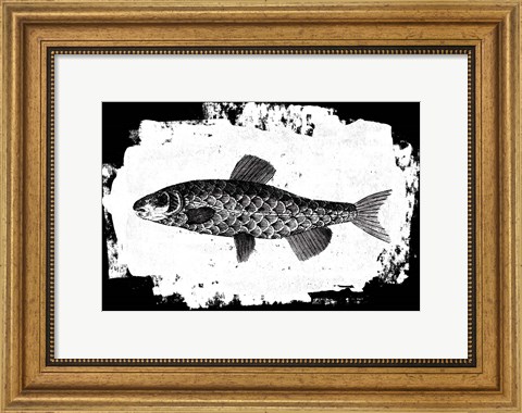 Framed Fish II Print