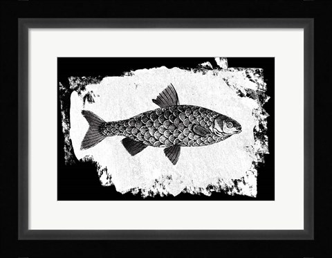 Framed Fish I Print