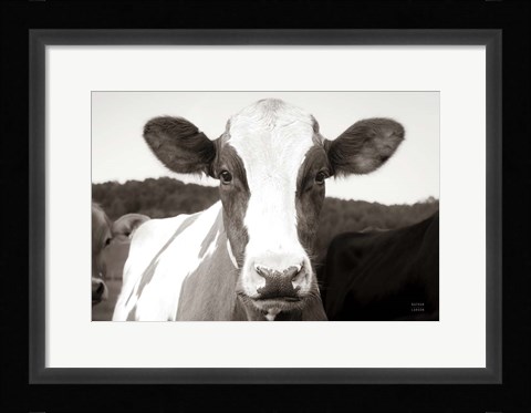 Framed At the Barn Print