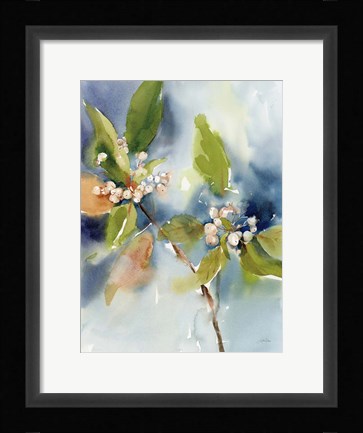 Framed Winter Berries Print
