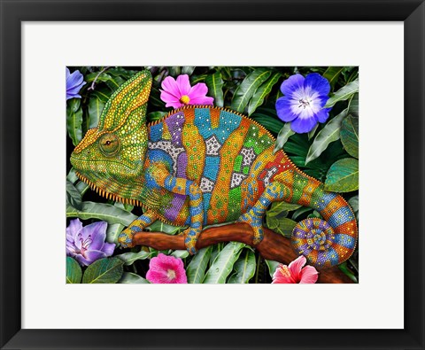 Framed Veiled Chameleon Rainbow Print