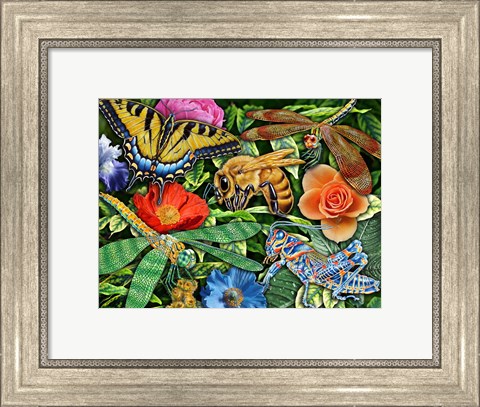 Framed Insects Print