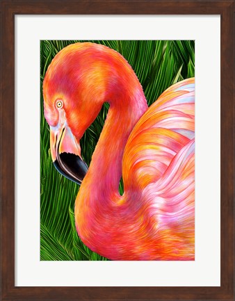 Framed Flamingo Print