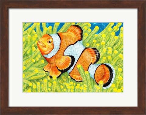 Framed Clownfish Print