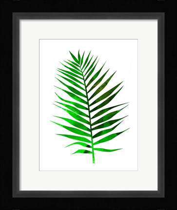 Framed Chamaedorea Leaf Print