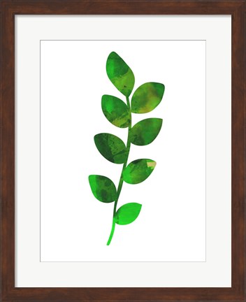 Framed Zamioculcas Leaf Print