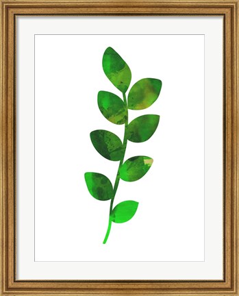 Framed Zamioculcas Leaf Print