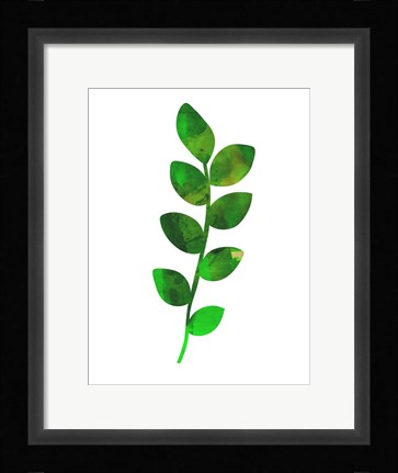 Framed Zamioculcas Leaf Print