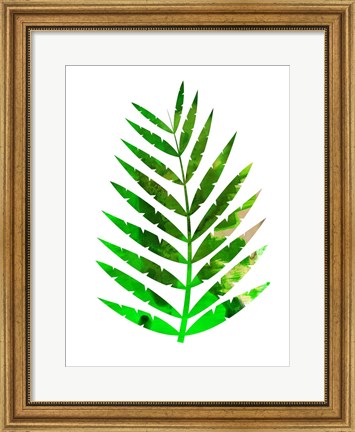 Framed Tropical Leaf Print