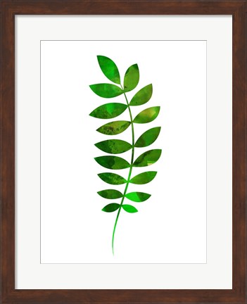 Framed Tropical Zamioculcas Leaf Print