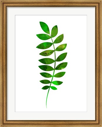 Framed Tropical Zamioculcas Leaf Print