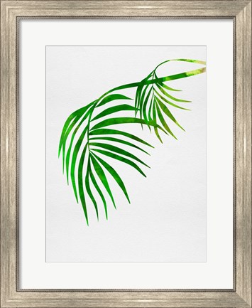 Framed Palm Tree Leaves Print