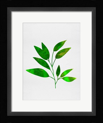 Framed Leaf Branch Print