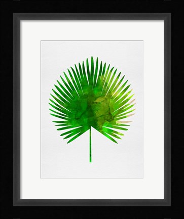 Framed Tropical Chamaerops Leaf Print