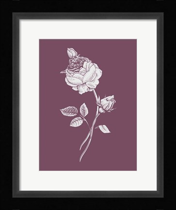 Framed Rose Purple Flower Print