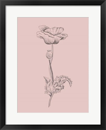 Framed Poppy Blush Pink Flower Print