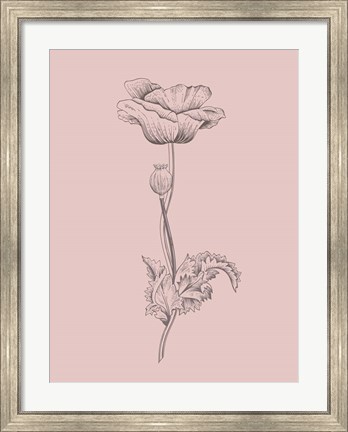 Framed Poppy Blush Pink Flower Print