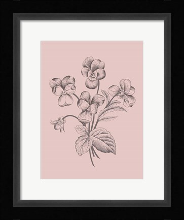 Framed Violet Blush Pink Flower Print