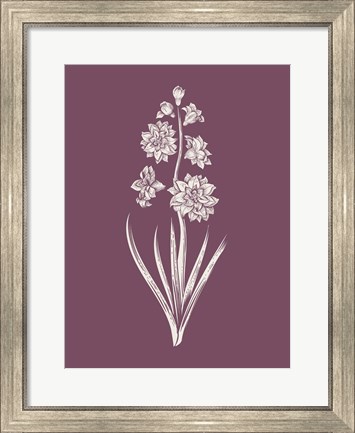 Framed Hyacinth Purple Flower Print