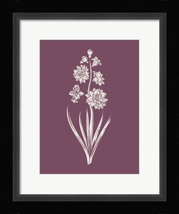 Framed Hyacinth Purple Flower Print