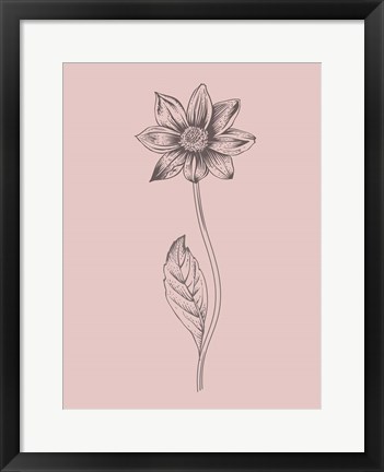 Framed Dahlia Blush Pink Flower Print
